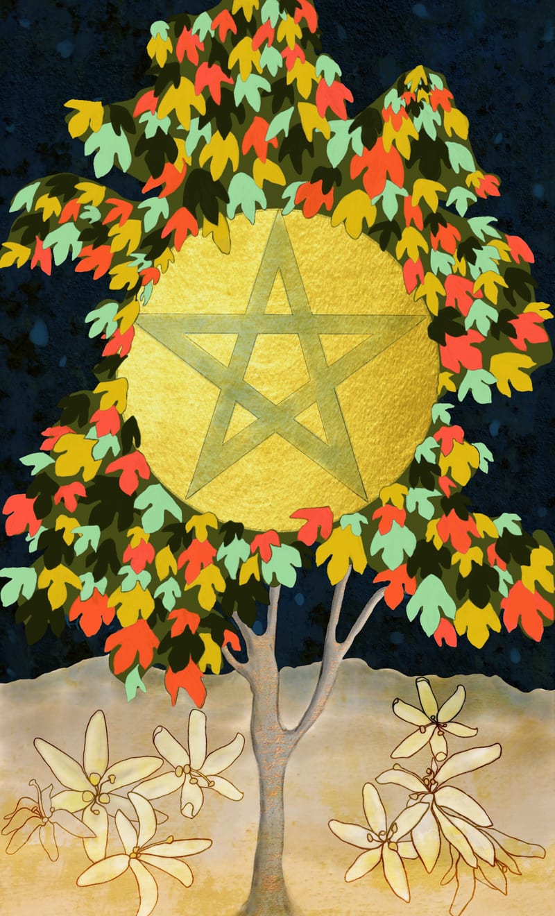 Ace of Pentacles - Sassafras