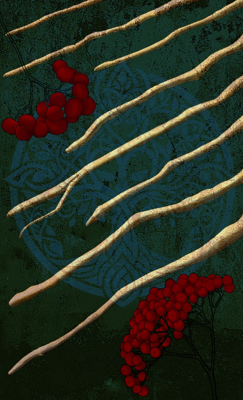 Eight of Wands - Rowan