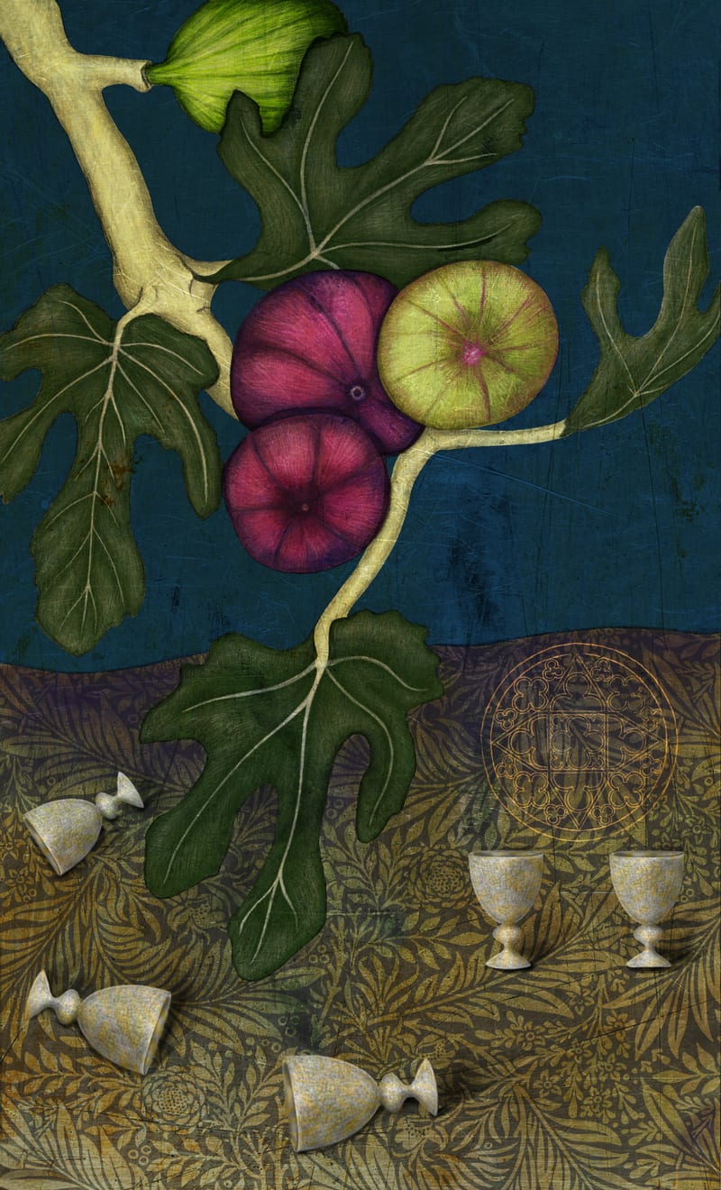 Five of Cups - Fig