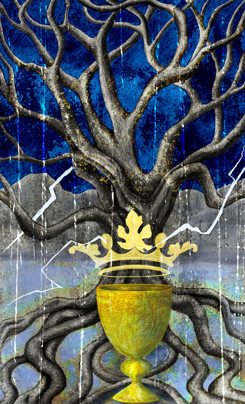 King of Cups - Fig