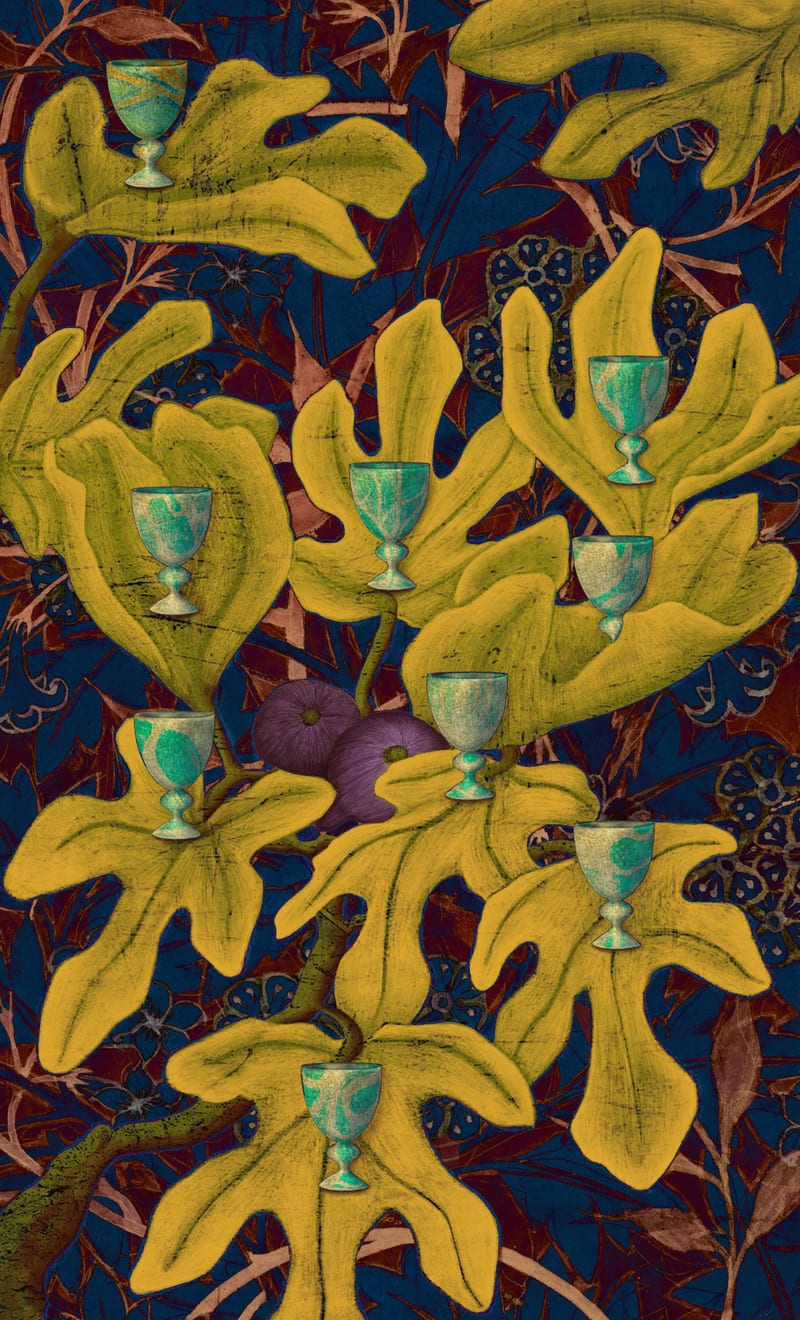 Nine of Cups - Fig