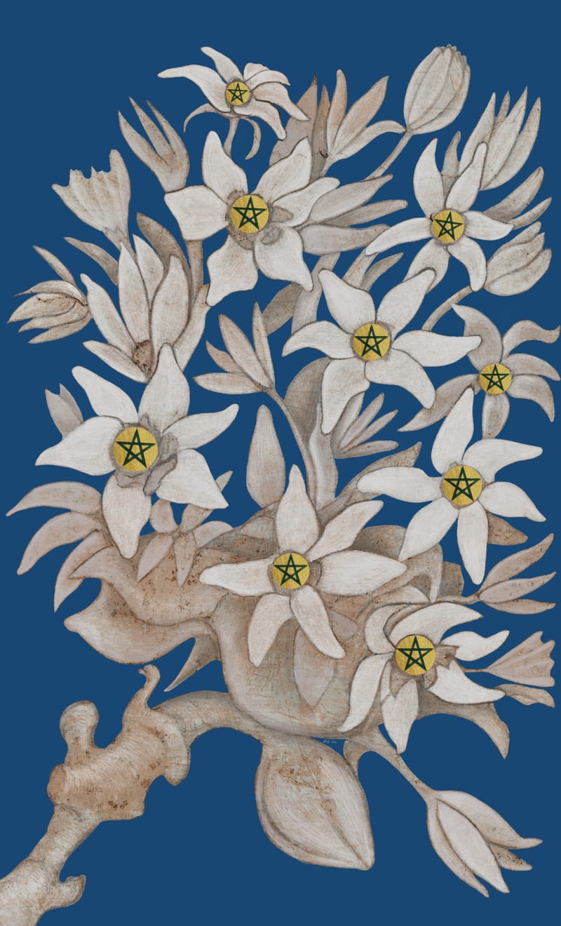 Nine of Pentacles - Sassafras
