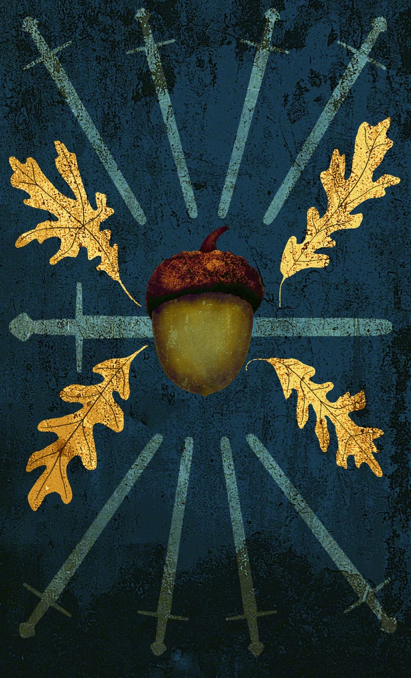 Nine of Swords - Oak