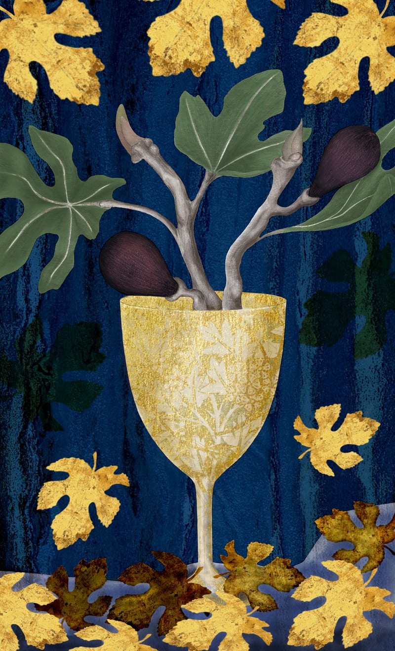 Page of Cups - Fig