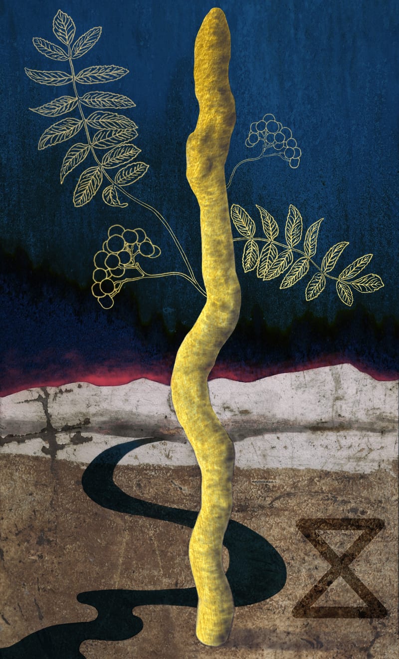 Page of Wands - Rowan