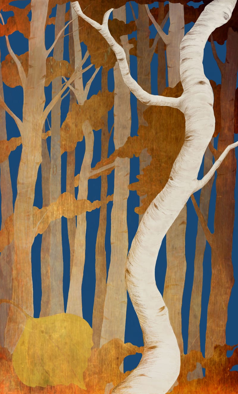 The Fool - Aspen