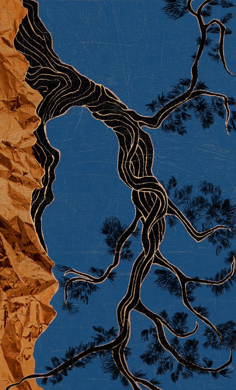 The Hanged Man - Juniper