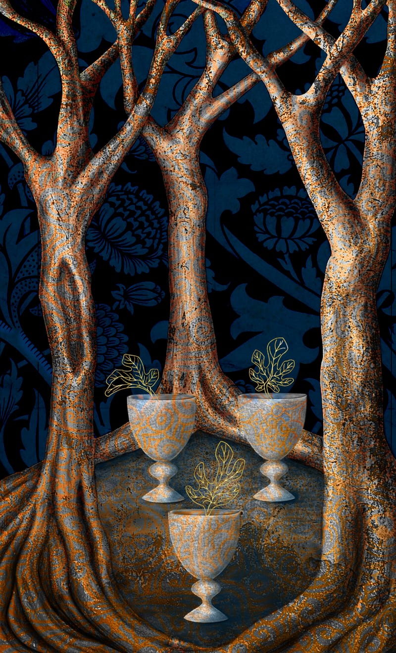 Three of Cups - Fig